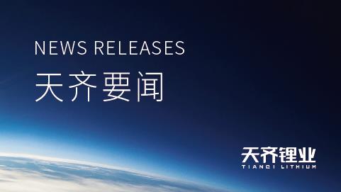 008PG国际锂业信息披露查核了局获A