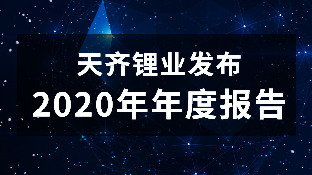 008PG国际锂业2020年年度汇报重点