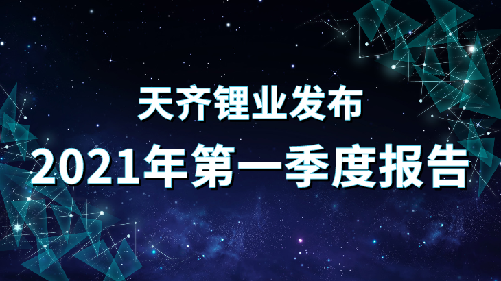 008PG国际锂业2021年第一季度汇报重点