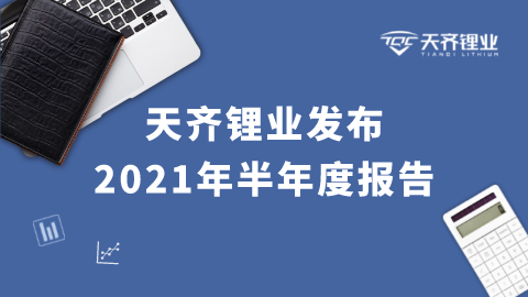 008PG国际锂业2021年半年度汇报重点