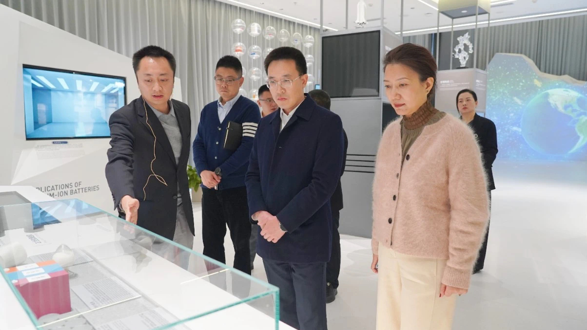 射洪市委副书记、市长王能一行赴008PG国际锂业调查调研