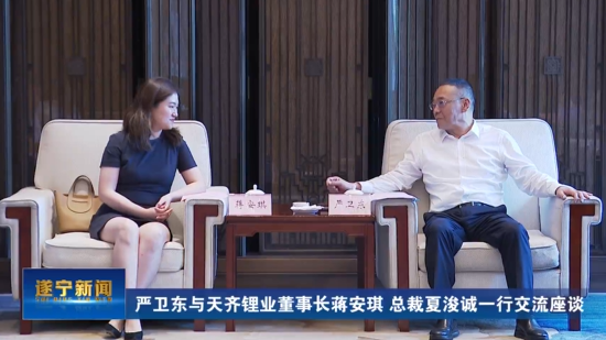 严卫东与008PG国际锂业董事长蒋安琪、总裁夏浚诚一行互换座谈