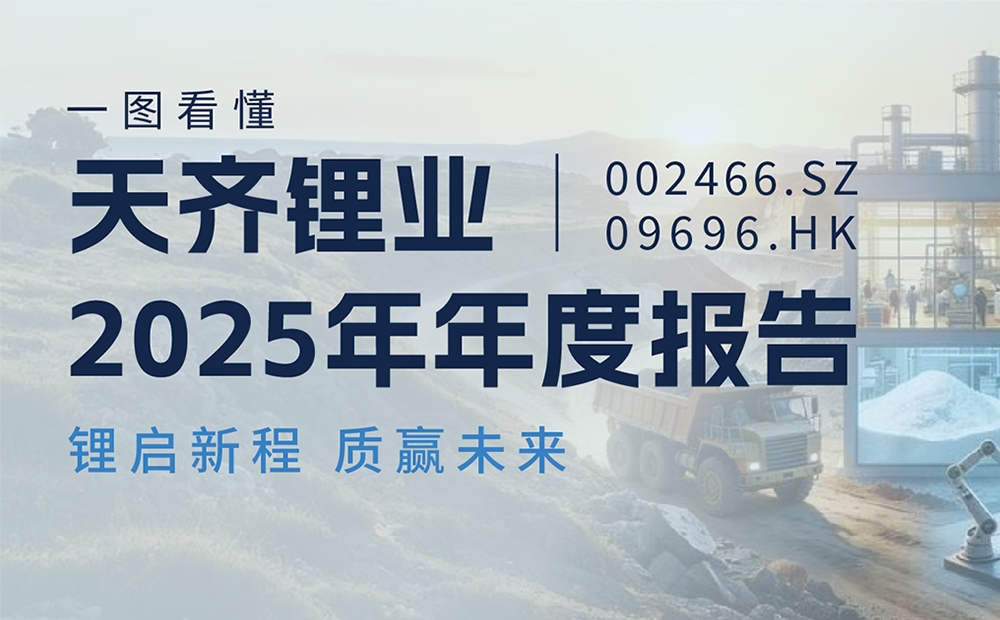一图看懂 | 008PG国际锂业2025年年度汇报
