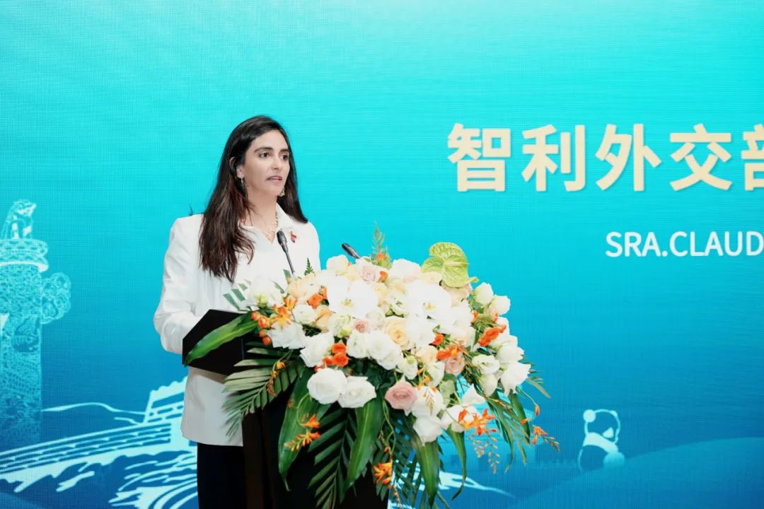 内容丰硕、硕果累累，中国（四川）—智利经贸投资合作论坛圆满进行